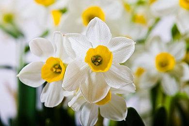 《午夜以南》Steam特别好评 出乎意料的好玩！